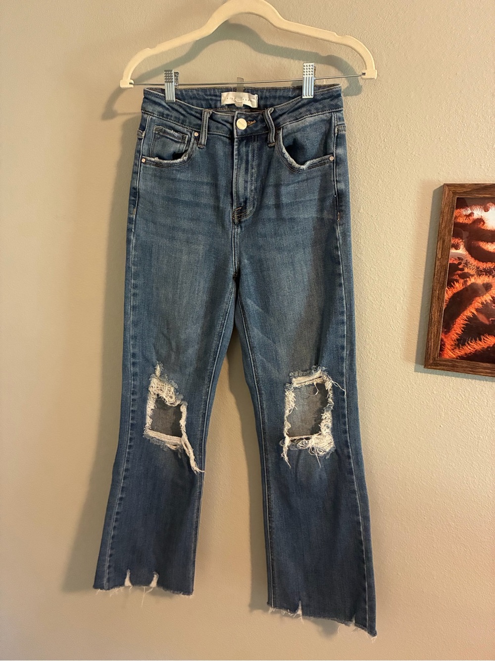 Risen Distressed Cropped Jeans in Medium Blue